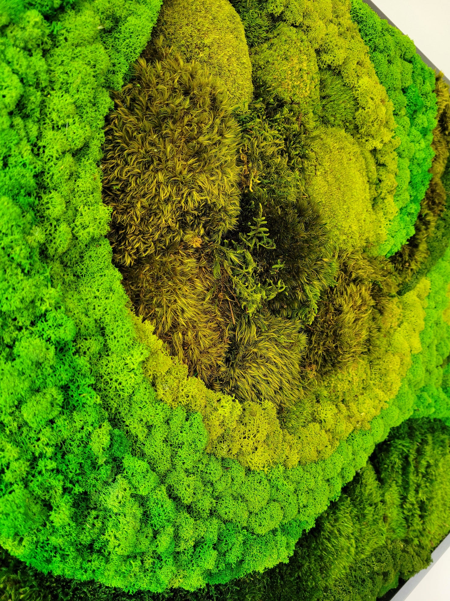 Moss frame, Moss Wall Art, Nature Room Decor, Art Modern wall