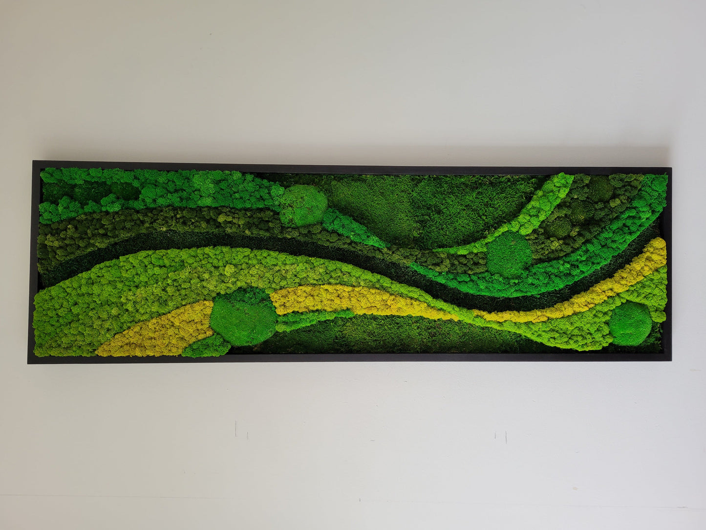 Moss Walls Art