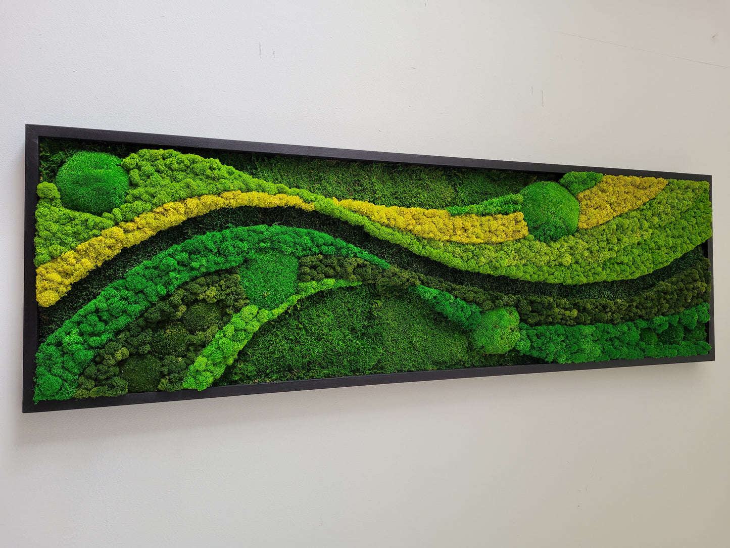 Moss Walls Art