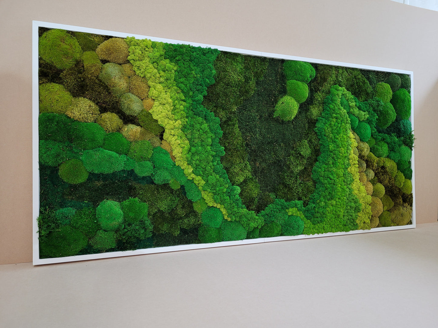 Moss frame, Moss Wall Art, Nature Room Decor, Art Modern wall