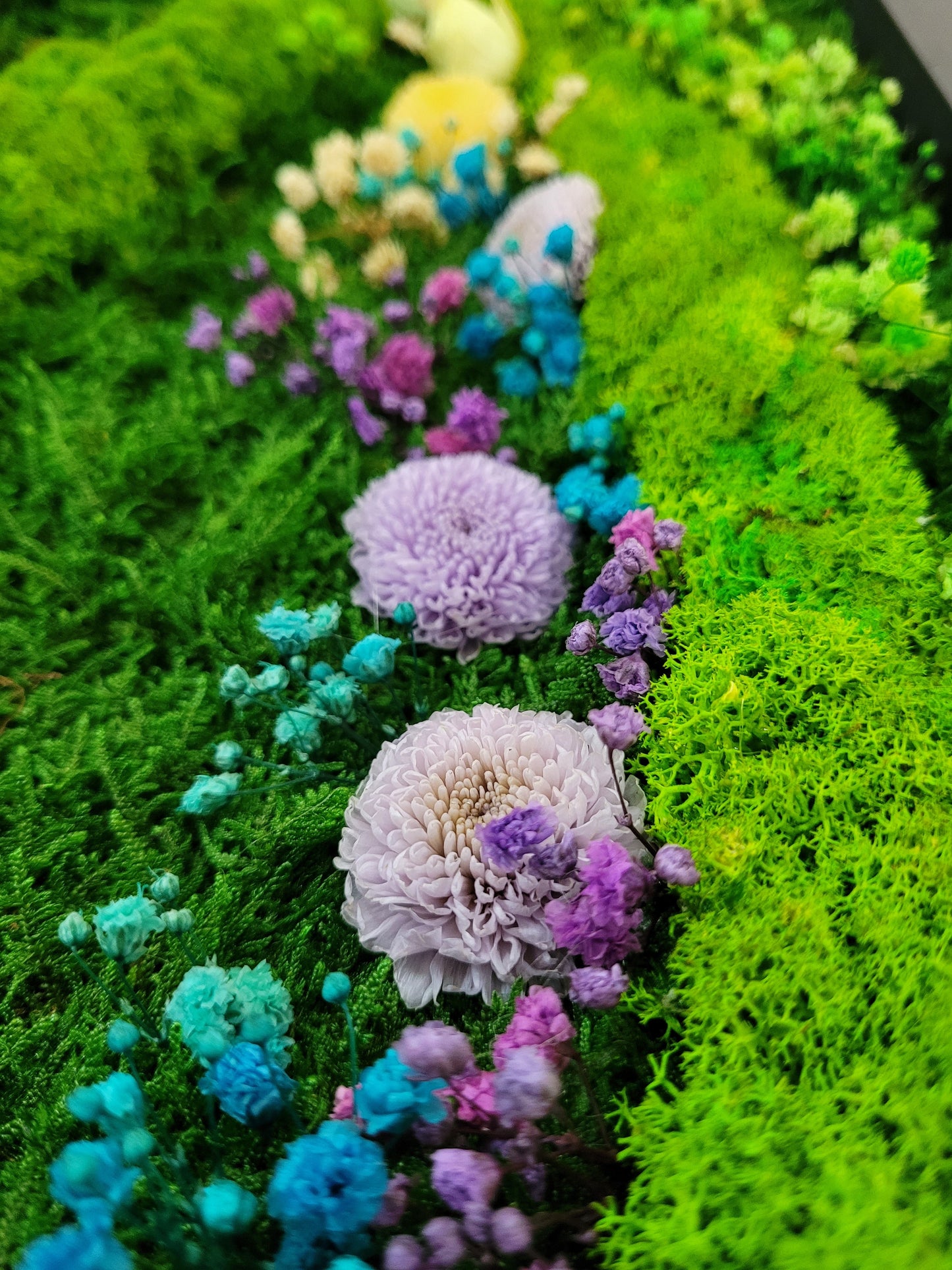 Preserved Moss Art Framed