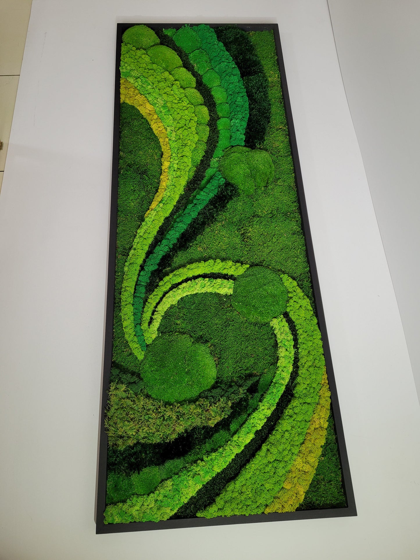 Preserved Moss Art Framed.