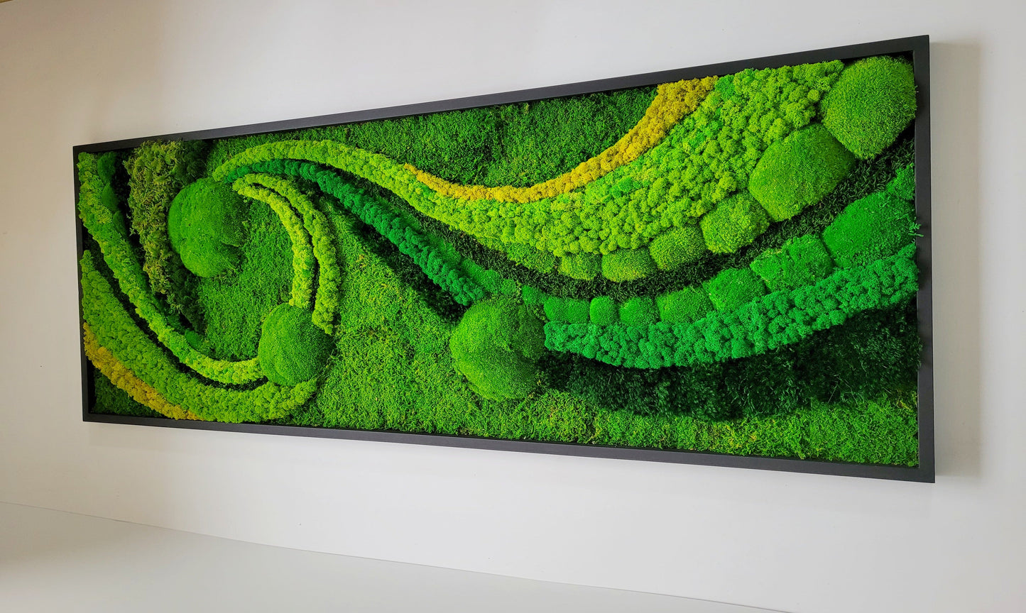 Preserved Moss Art Framed.