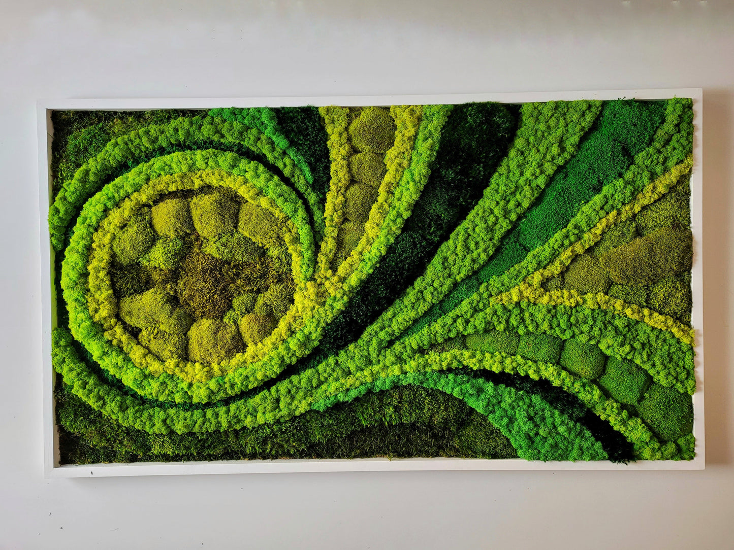 Moss frame, Moss Wall Art, Nature Room Decor, Art Modern wall