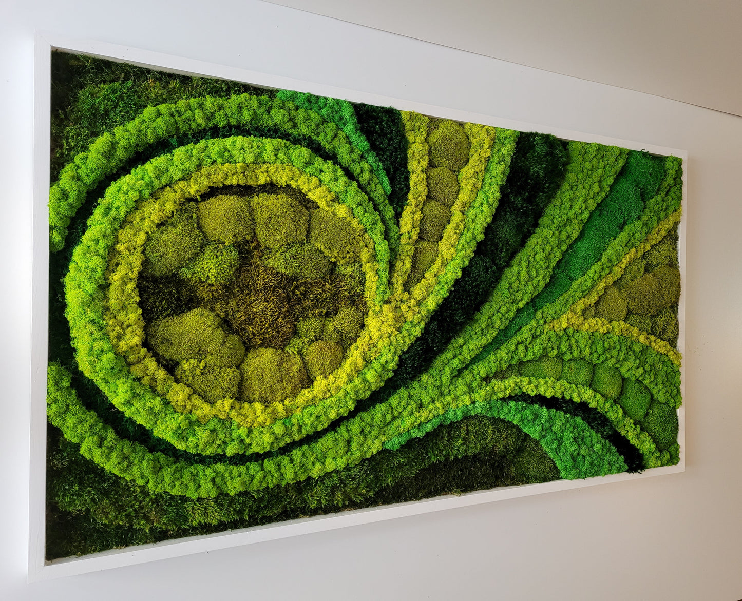 Moss frame, Moss Wall Art, Nature Room Decor, Art Modern wall