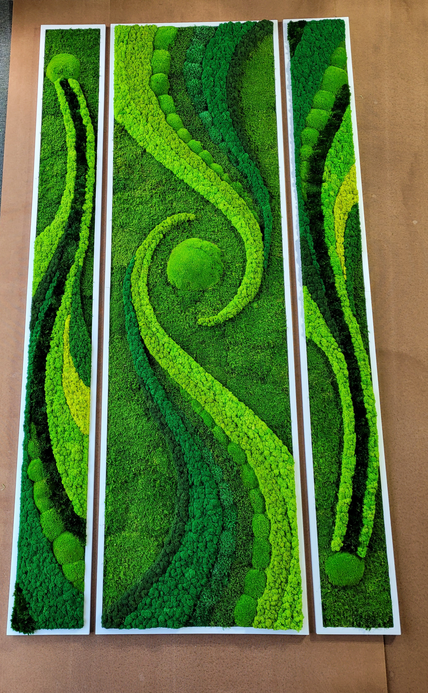 Moss Art Preserved Moss