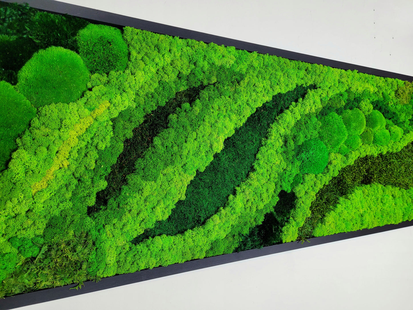 Moss frame, Moss Wall Art, Nature Room Decor, Art Modern wall