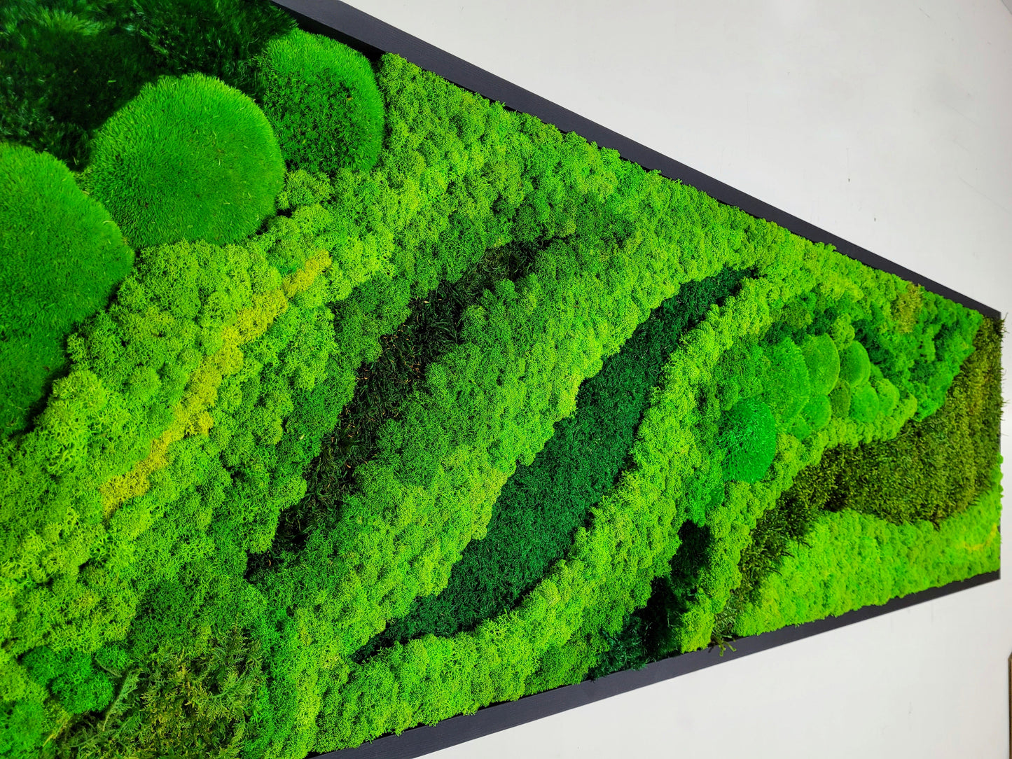 Moss frame, Moss Wall Art, Nature Room Decor, Art Modern wall