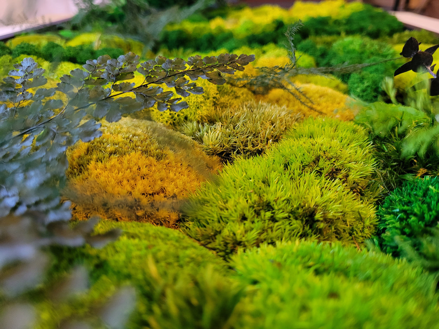 Moss frame, Moss Wall Art, Nature Room Decor, Art Modern wall