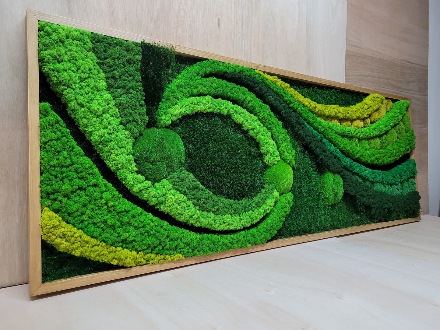 Preserved Moss Art Framed.