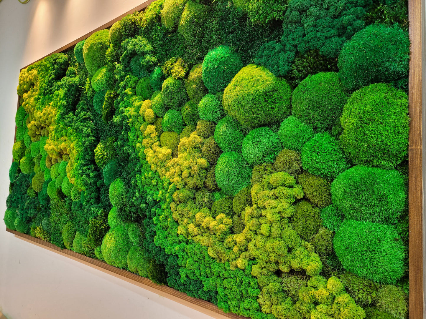 Moss frame, Moss Wall Art, Nature Room Decor, Art Modern wall