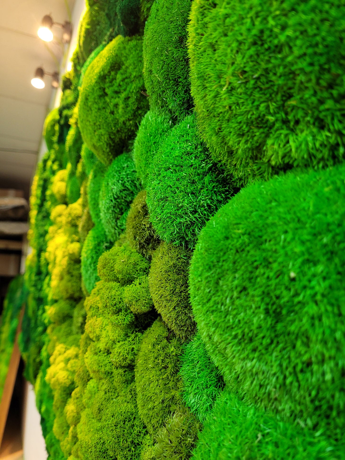 Moss frame, Moss Wall Art, Nature Room Decor, Art Modern wall