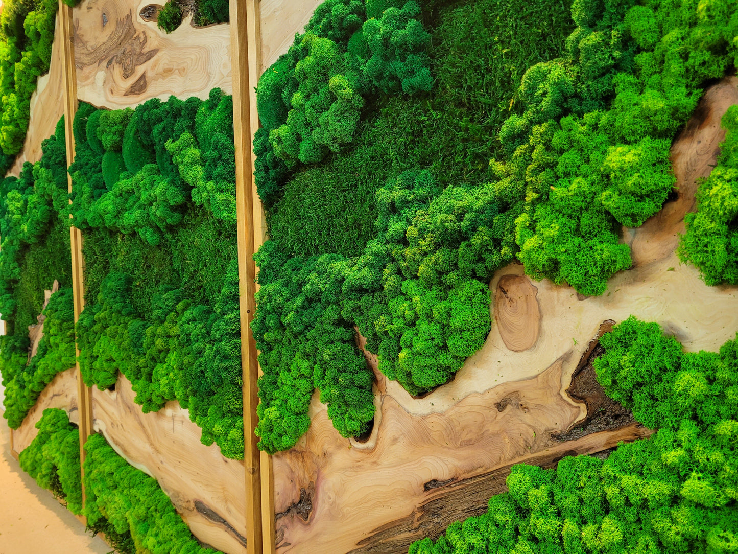 Moss Wall Art