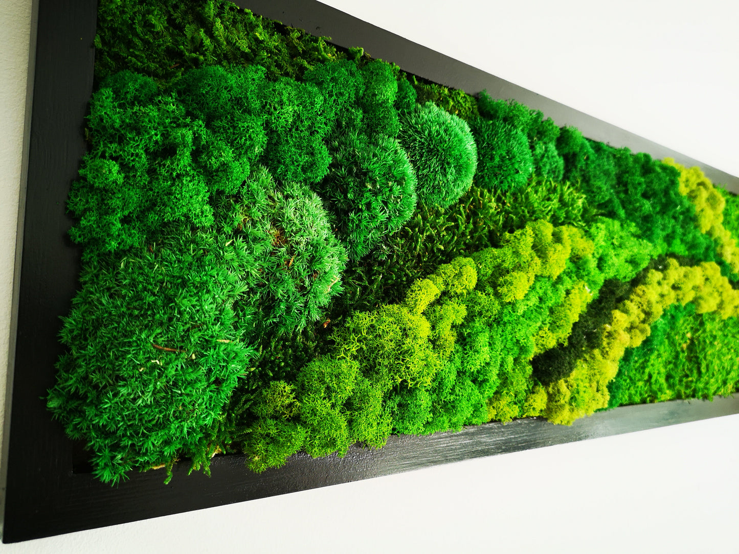 Wall Art, Nature Room Decor, Art Modern wall
