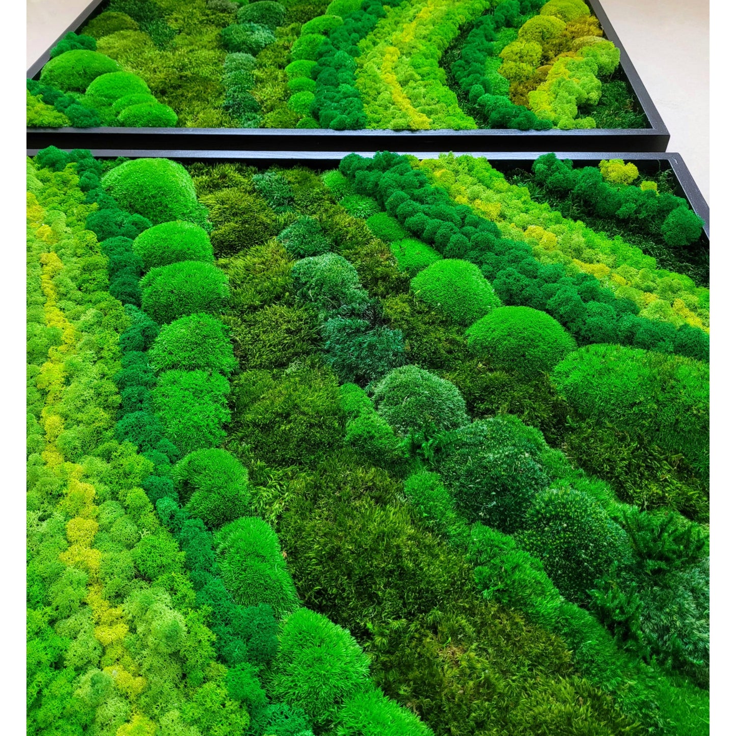 Moss frame, Moss Wall Art, Nature Room Decor, Art Modern wall