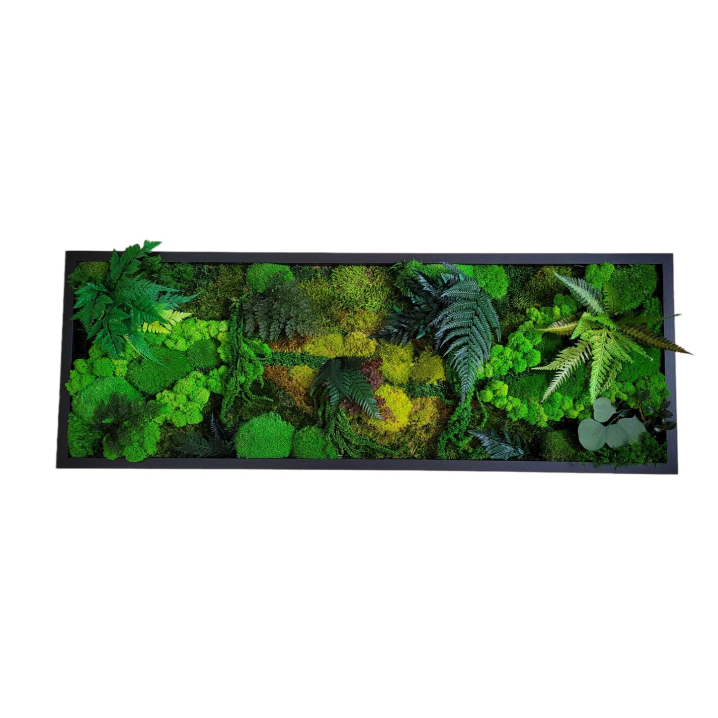 Moss frame, Moss Wall Art, Nature Room Decor, Art Modern wall