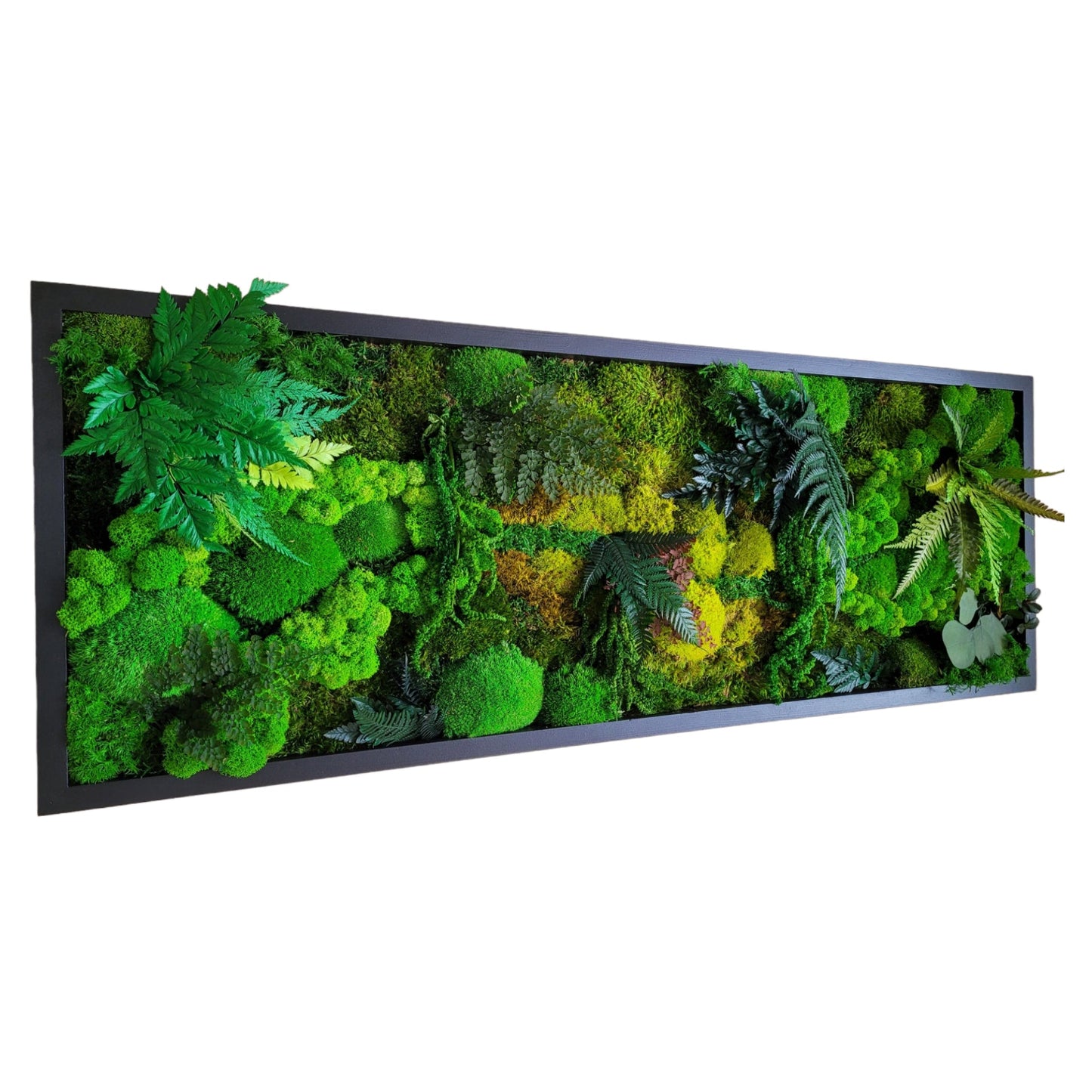 Moss frame, Moss Wall Art, Nature Room Decor, Art Modern wall