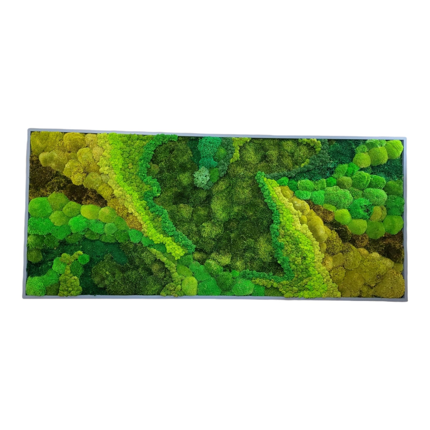 Moss frame, Moss Wall Art, Nature Room Decor, Art Modern wall
