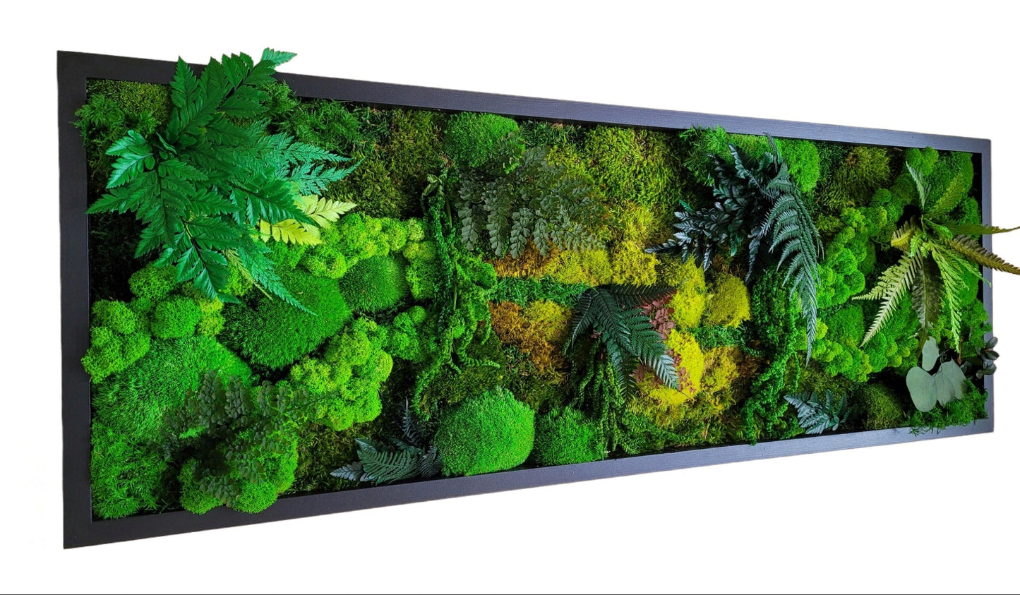 Moss frame, Moss Wall Art, Nature Room Decor, Art Modern wall