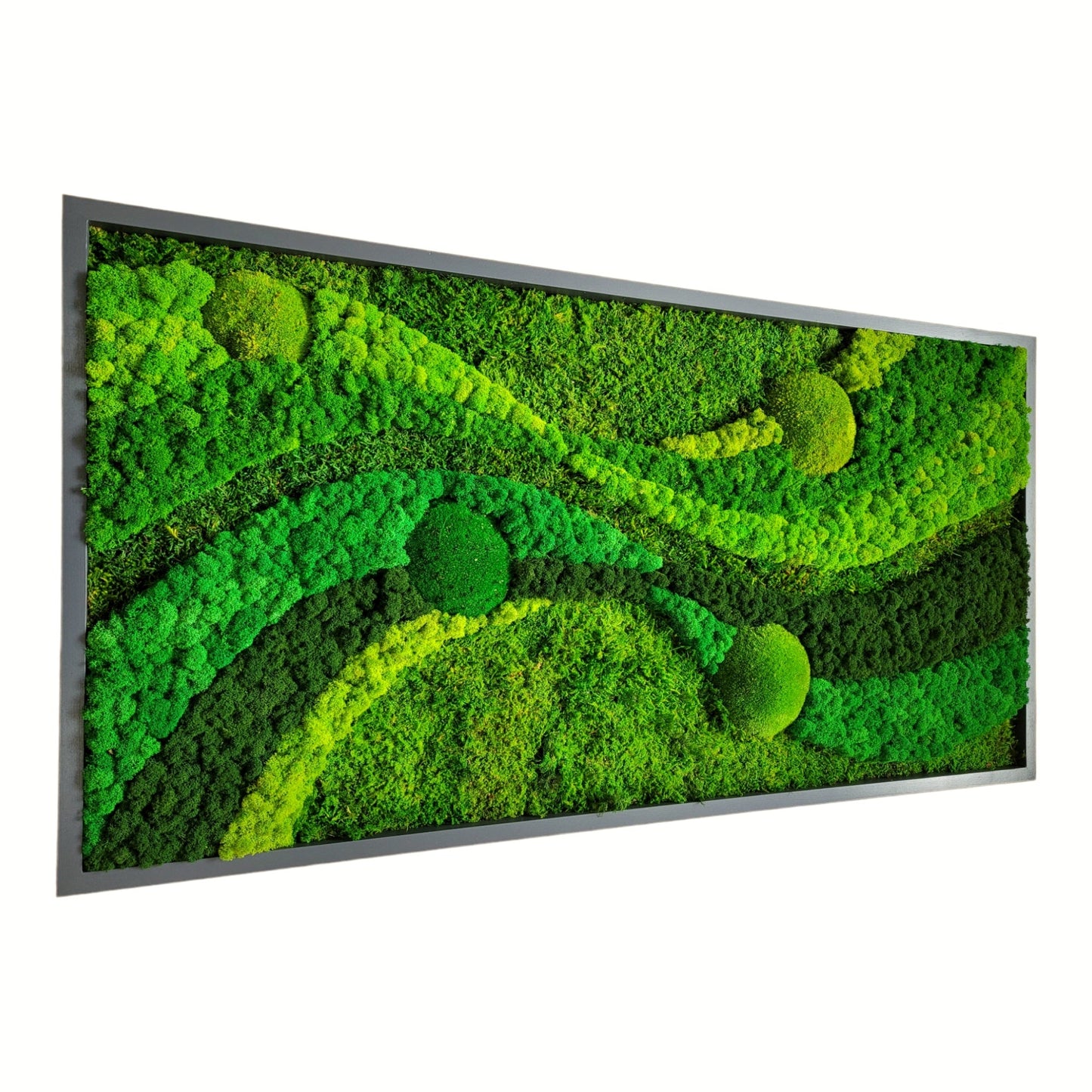 Moss frame, Moss Wall Art, Nature Room Decor, Art Modern wall