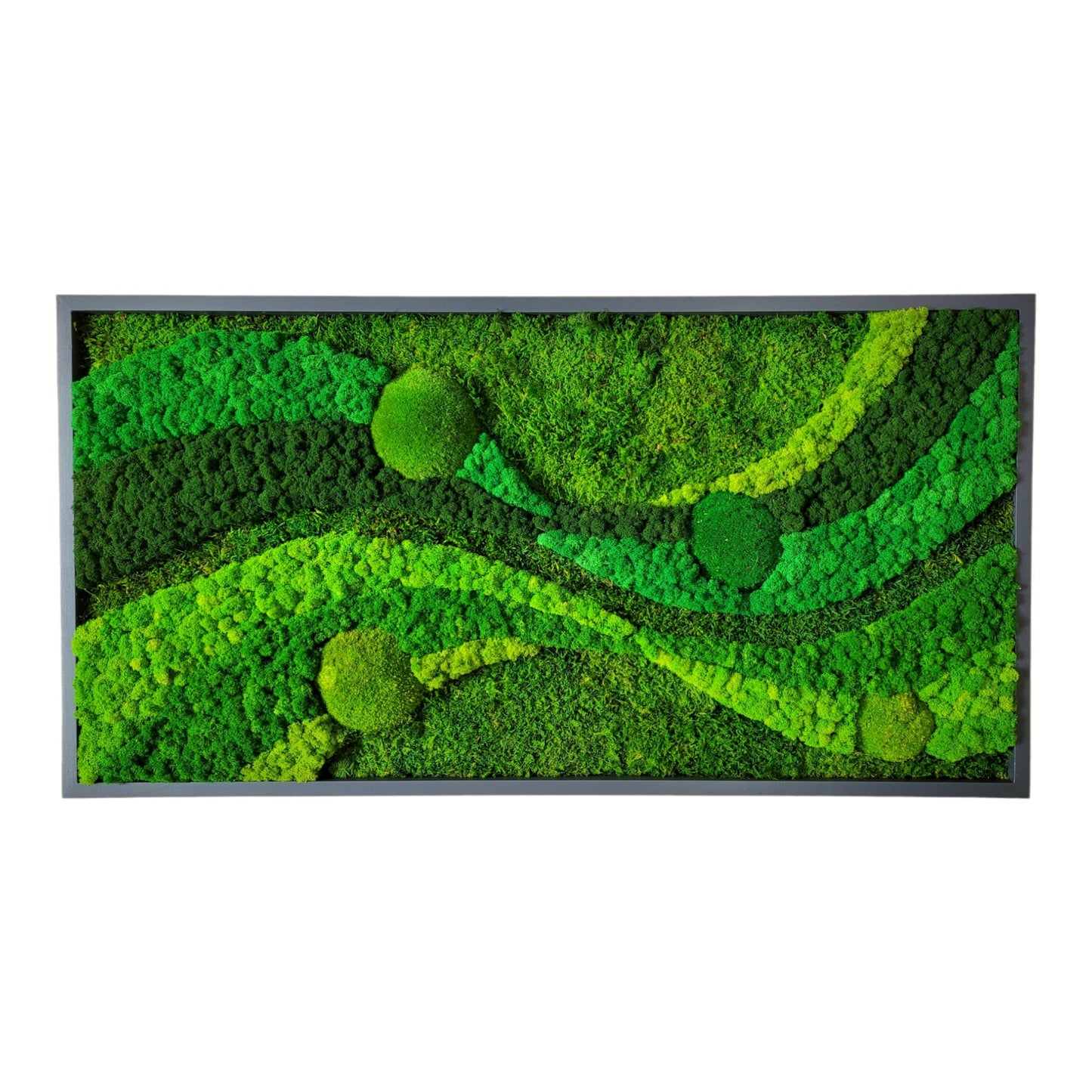 Moss frame, Moss Wall Art, Nature Room Decor, Art Modern wall