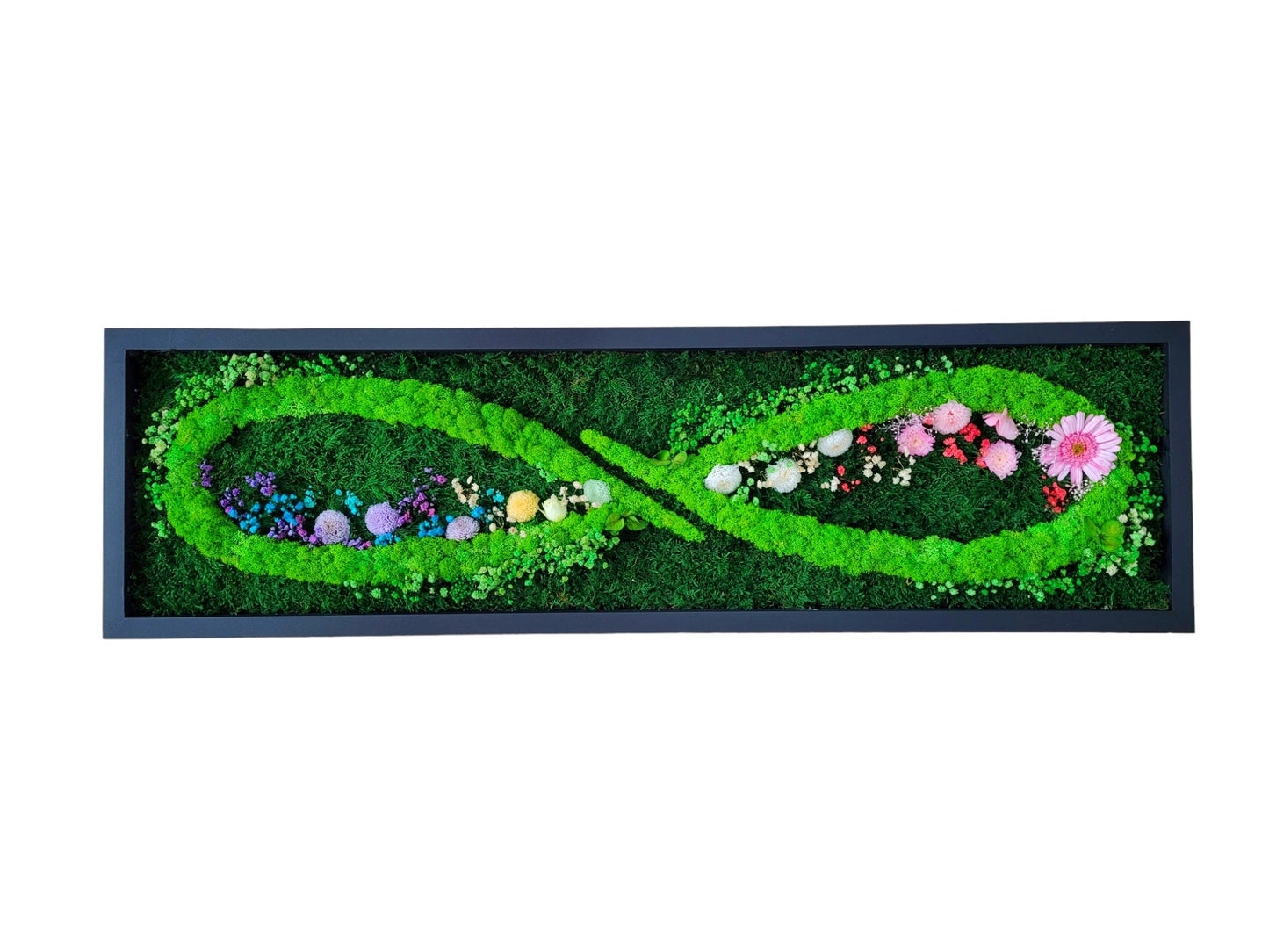 Preserved Moss Art Framed