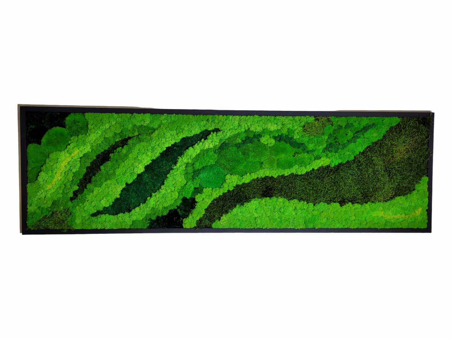 Moss frame, Moss Wall Art, Nature Room Decor, Art Modern wall