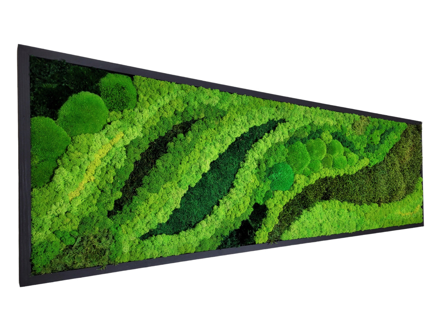 Moss frame, Moss Wall Art, Nature Room Decor, Art Modern wall