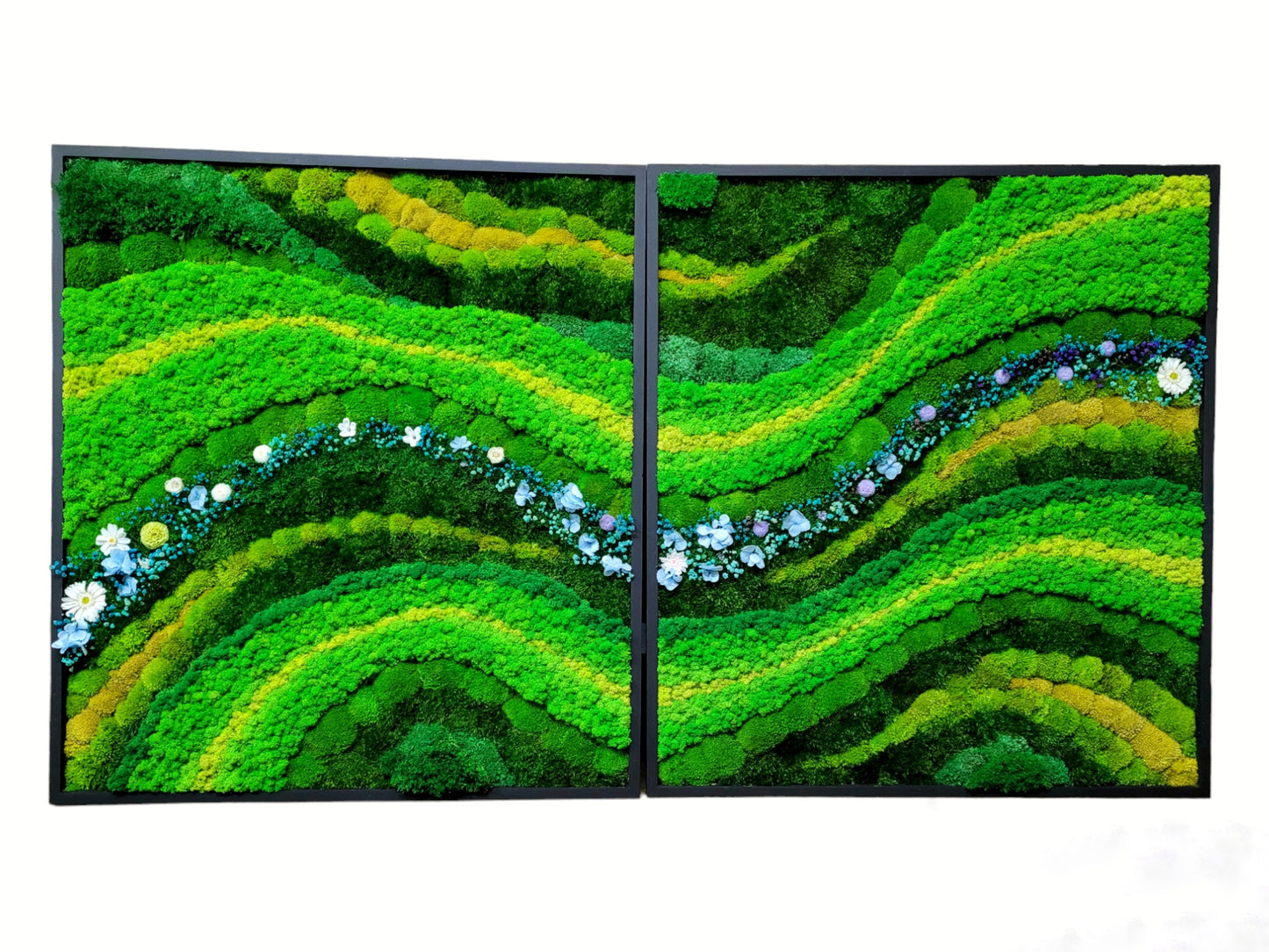 Preserved Moss Art Framed
