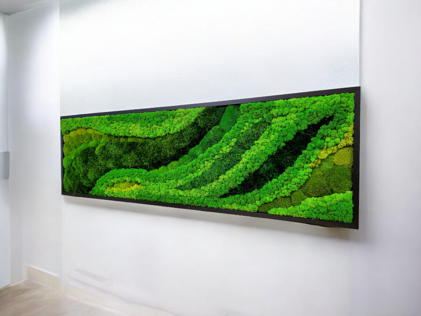 Preserved Moss Art Framed. Picture of preserved moss