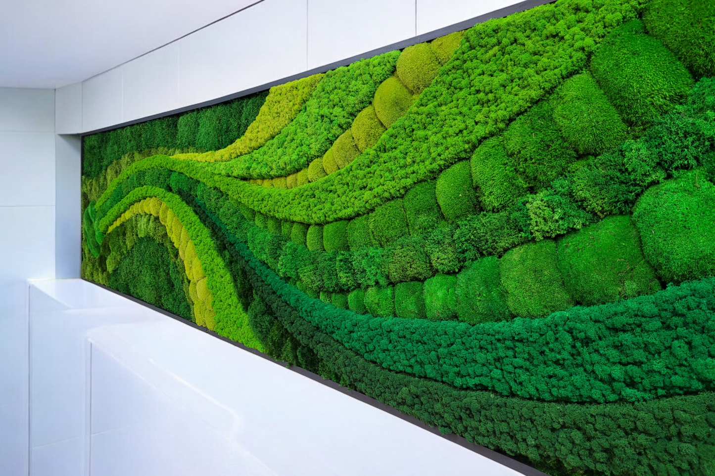 Wall Art, Nature Room Decor, Art Modern wall