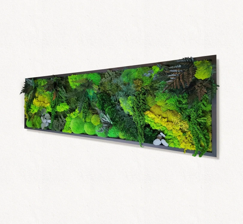 Moss frame, Moss Wall Art, Nature Room Decor, Art Modern wall