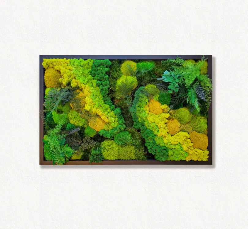 Moss frame, Moss Wall Art, Nature Room Decor, Art Modern wall
