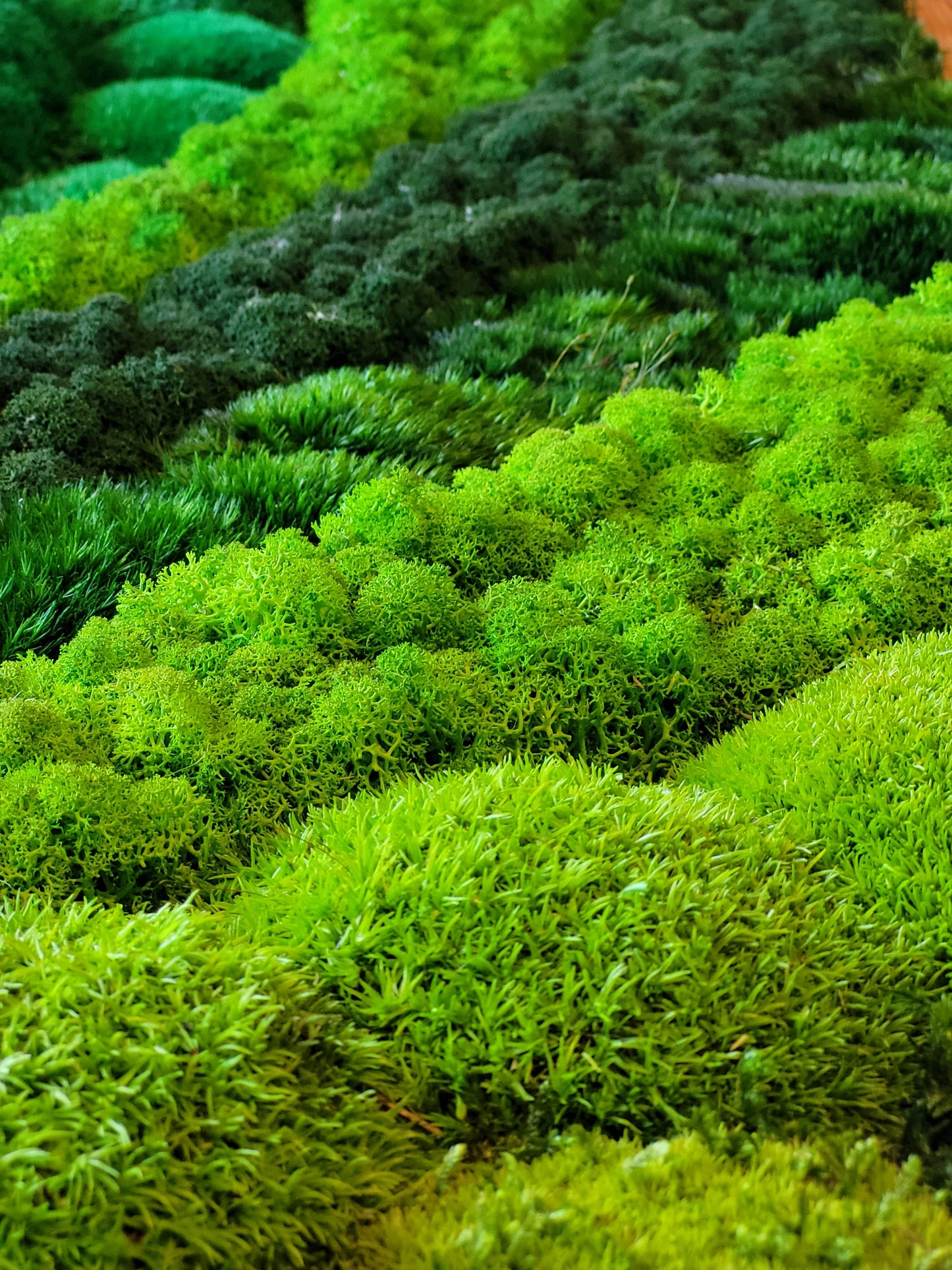 Moss frame, Moss Wall Art, Nature Room Decor, Art Modern wall