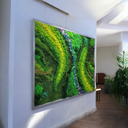 Preserved Moss Art Framed. Picture of preserved moss